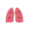 Aerobic and anaerobic respiration